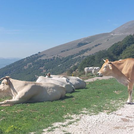 Bed and Breakfast Fonte Fresca Fabriano Exterior foto